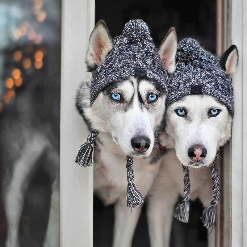 Gorro para cachorro - Pet Jack